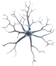 Microscopic render of a neuron